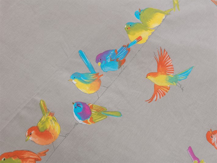 Discuție de pasăre Cu Bumbac Double Lenjerie De Pat 200x220 cm Bej