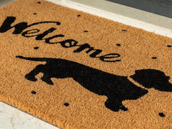 Dogs Imprimat Covoraș İntrare 40x60 cm Natural