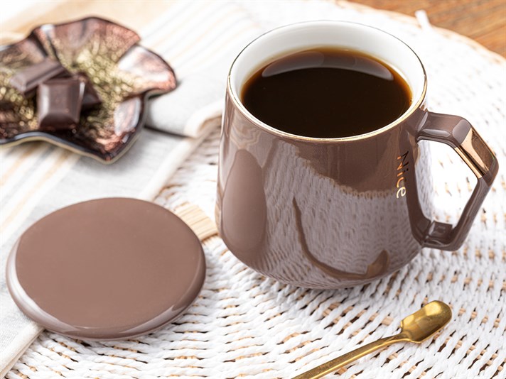Felicia New Bone China Lidded with spoon Cup 380 ml Brown