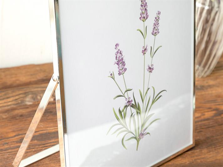 Ramă foto, Felicita, metal, 20x25 cm, argintiu