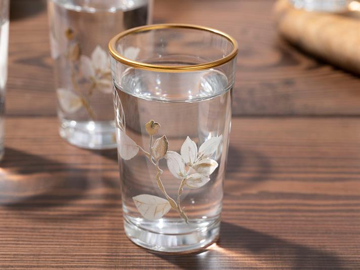 Spray Glass 6 Set Served with Coffee Water Glass 100 ml Transparent