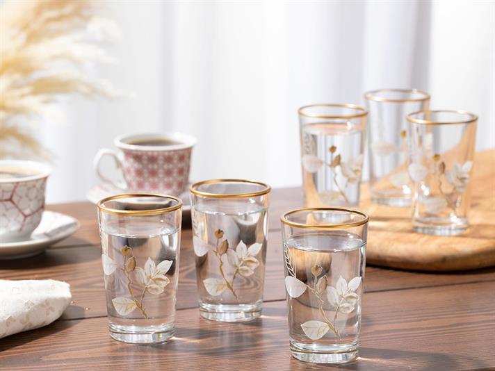 Spray Glass 6 Set Served with Coffee Water Glass 100 ml Transparent