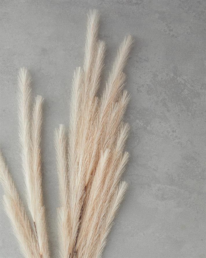 Grassy Artificial Flower - One Pc 120 cm Beige