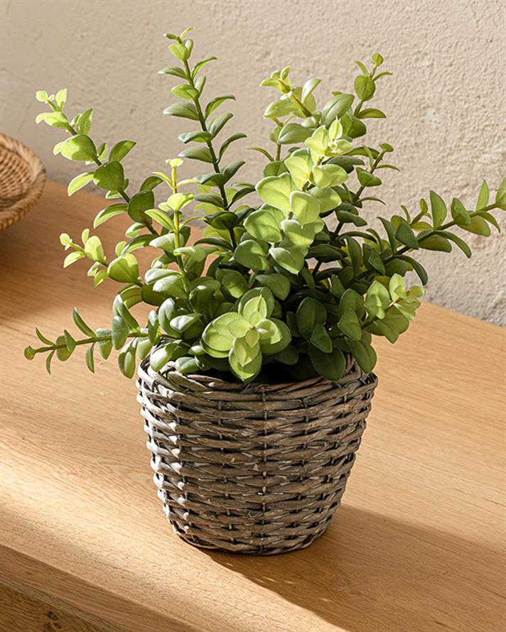 Duke Artificial Flower with Vase 30x25 Gray