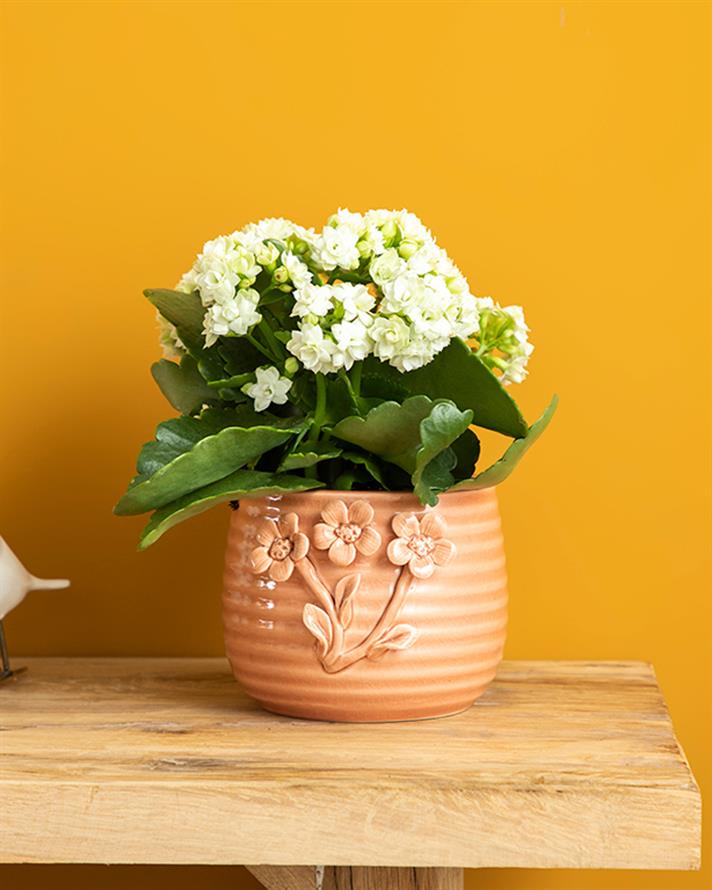 Ghiveci pentru flori, Flowertopia, dolomită, 13,6x13x10,5 cm, roz