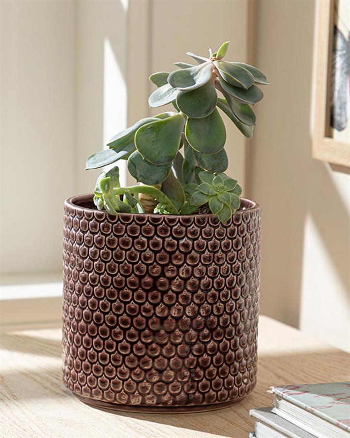 Ghiveci pentru flori, Jacey, ceramică, 15,5x15,5x15,2 cm, bordo