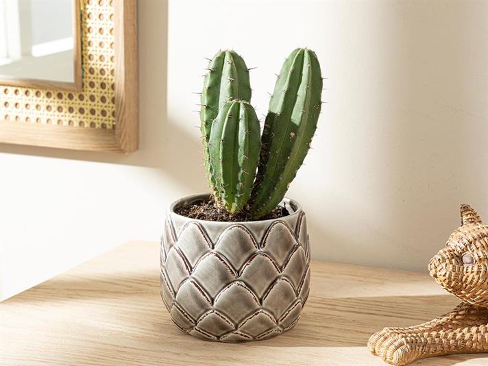 Ghiveci pentru flori, Jesse, ceramică, 12,7x12,7x10,4, maro