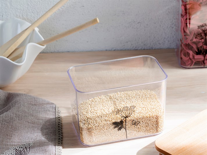 Gingko Biloba Wooden Capped Food Container 1L Transparent