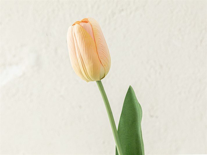 Tulip Garden Single Branch Artificial Flowe 45 cm Champagne