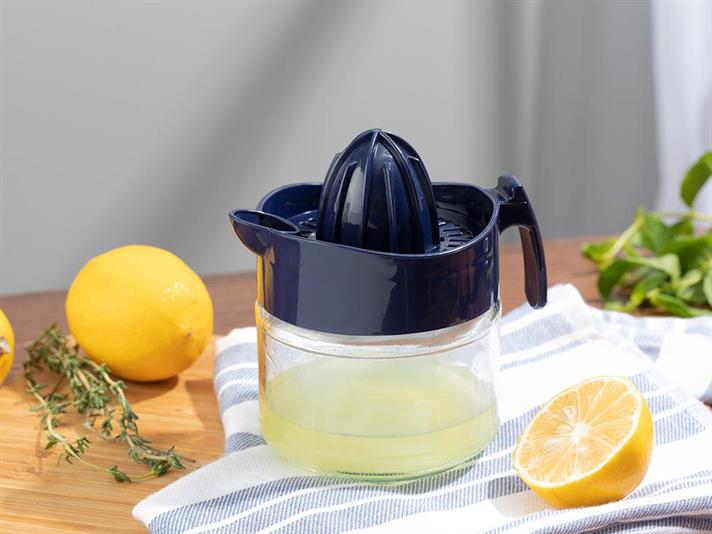 Hera Storcător Lămâie, Sticlă, 300 Ml, Natural - Burgundia