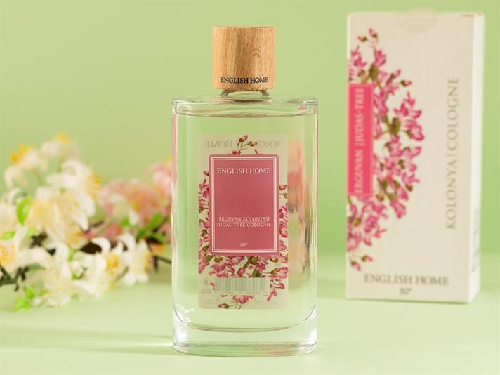 Iuda-tree Colonie 200 ml Alb