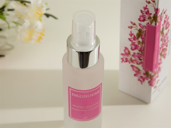 Iuda-tree Colonie 60 ml Alb