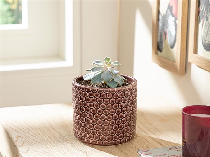 Ghiveci pentru flori, Jacey, ceramică, 12x12x11 cm, bordo