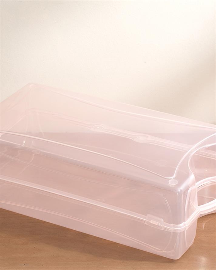 Loe Plastic Femei Cutıe Pentru Pantofı 33*18*10Cm Pudra.
