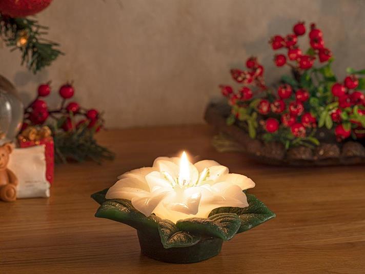 Lumânare, Poinsettia, 12.5 cm, alb