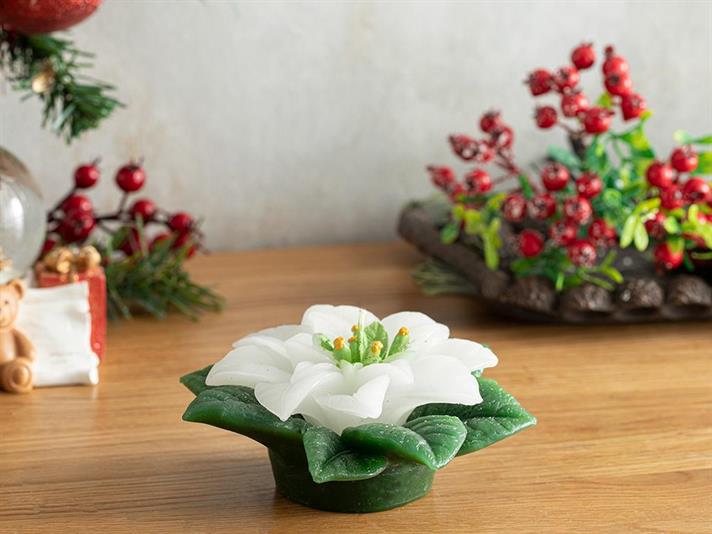 Lumânare, Poinsettia, 12.5 cm, alb