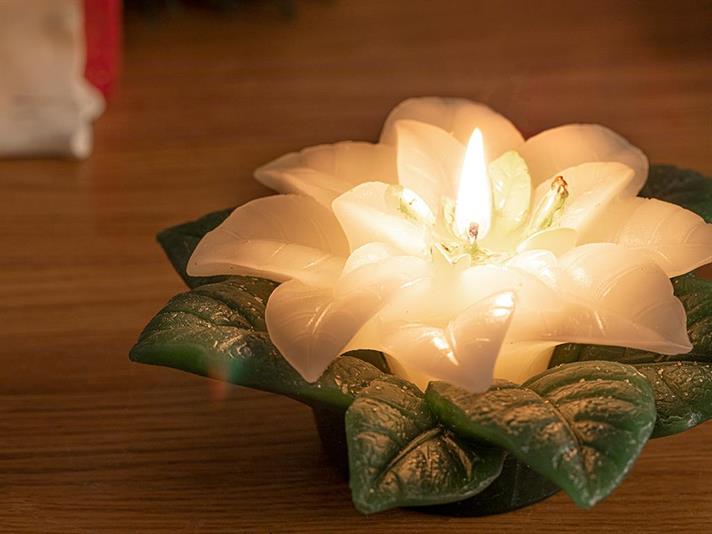 Lumânare, Poinsettia, 12.5 cm, alb