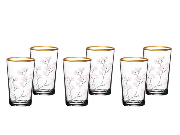 Marla Glass 6 Pcs for Coffee Side Water Glass 100 ml Colored
