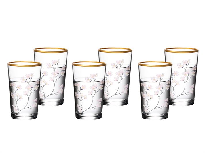 Marla Glass 6 Pcs for Coffee Side Water Glass 100 ml Colored