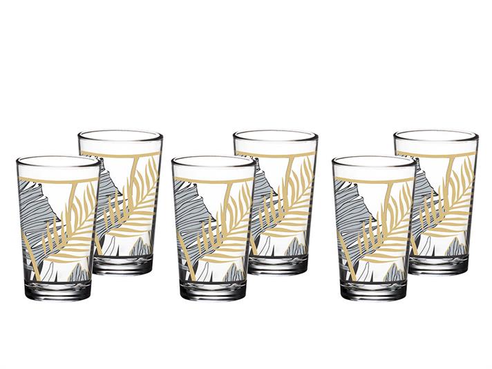 Maylin Glass 6 Set Served with Coffee Water Glass 100 ml Black