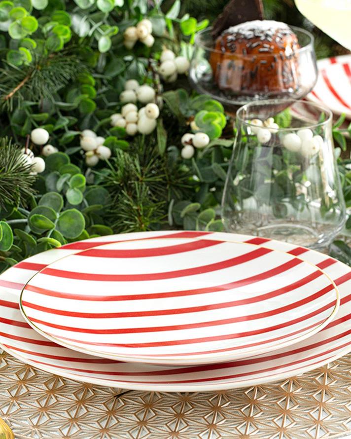 Modern Lines bone porcelain Service Plate 25 cm Red