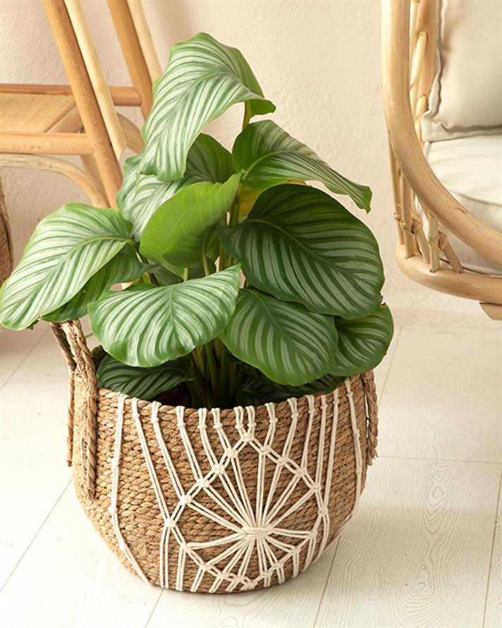 Monreo Coș , 33*27 Cm, Albastru-Beige