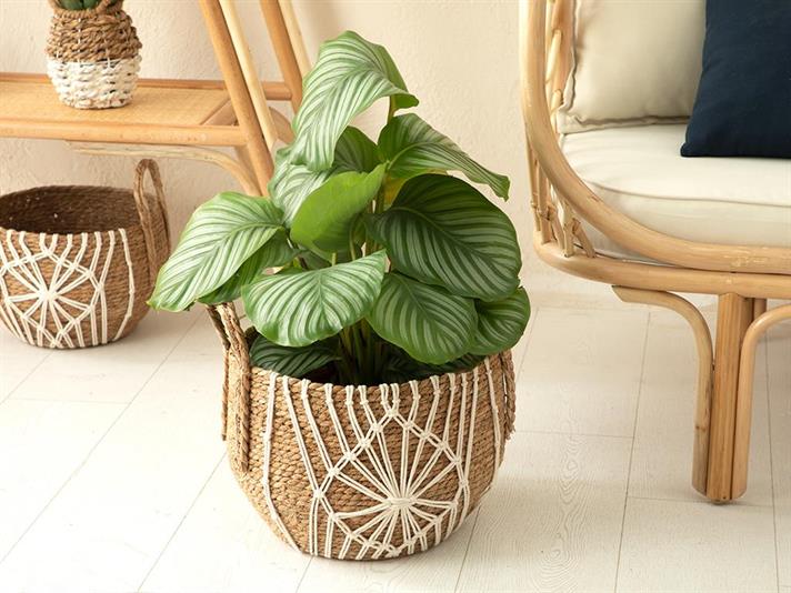 Monreo Coș , 33*27 Cm, Albastru-Beige