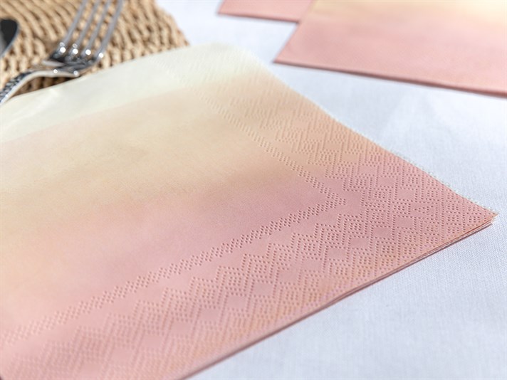 Palette Paper 20 Set Tissue Napkin 33x33 cm Pink