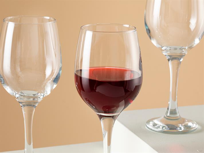 Palma Glass 3 Pcs Champangne Glass 300 ml Transparent