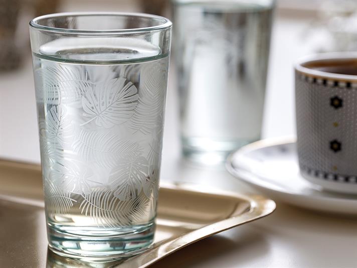 Palm Glass 6 Pcs for Coffee Side Water Glass 100 ml Green