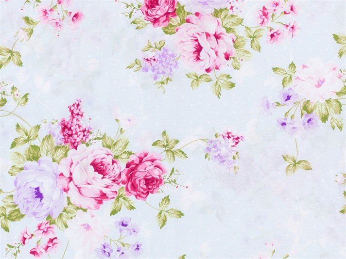 Paradisul s-a ridicat Cu Bumbac Cu 2 Piese Față De Pernă 50x70 cm Fucsia