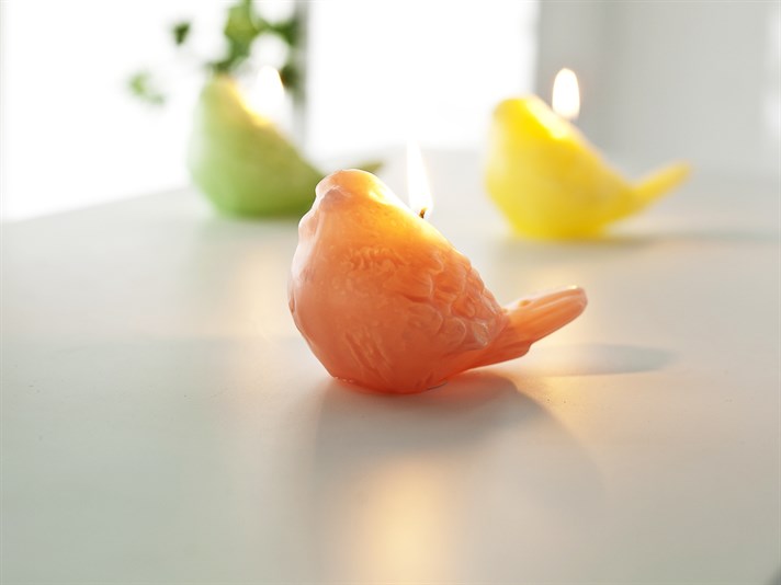 Görsel