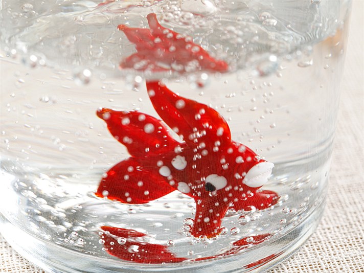 Red Fish Glass Glass 345 ml Red