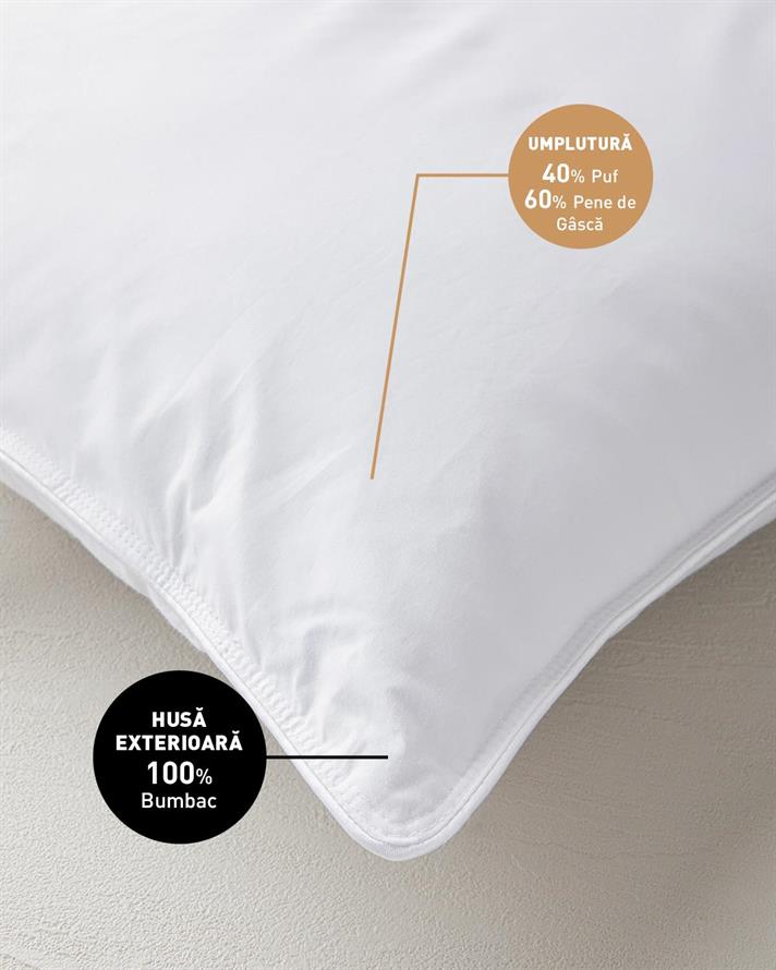 Pernă, Winter, bumbac cu umplutură din puf de gâscă, 50x70 cm, alb