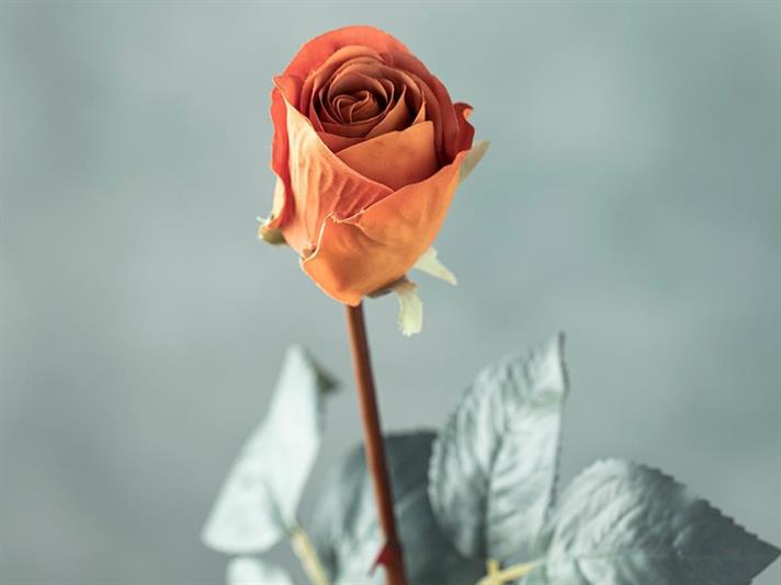Petit Roses Artificial Flower - One Pc 50 cm Orange,