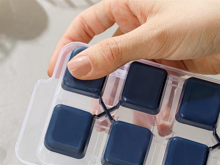 pur și simplu Plastic Cu Capac Cutie De Gheață 8.9x25.3x3.9 cm Bleumarin