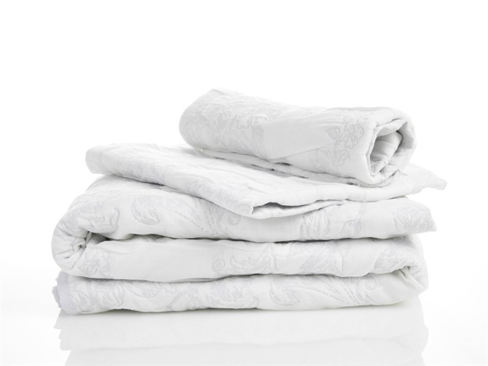 Rambler Rose  Cover Persoană dublă  SET CUVERTURĂ DE PAT 250x260 cm Albastru