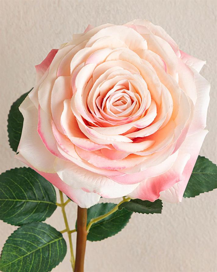 Rosalie Plastic Artificial Flower - One Pc 65 cm Light Pink,
