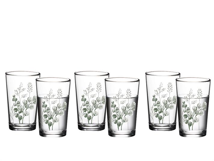 Rosses Glass 6 Set Served with Coffee Water Glass 100 ml Green