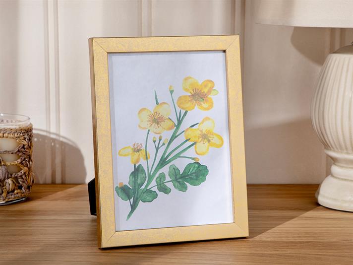 Sandra Plastic Frame 13x18 cm Gold