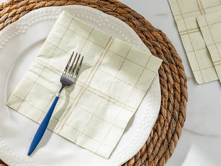 Set 20 șervețele, Delany, hârtie, 33x33 cm, crem