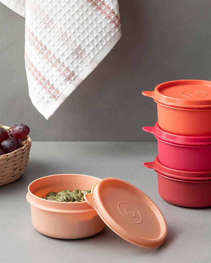 Lock Me Mini Plastic 4 Set Storage Box 250 ml Red