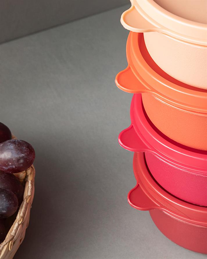 Lock Me Mini Plastic 4 Set Storage Box 250 ml Red