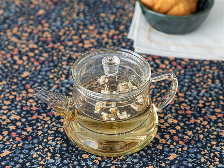 Simple Borosilicate Glass with Strainer Pot 500 ml Transparent