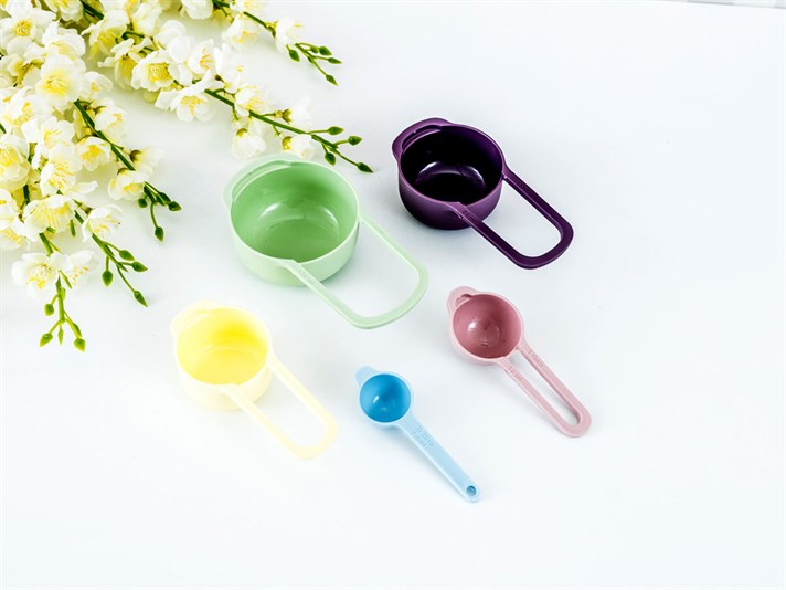 Lona Plastic 5 pcs Measurement Spoon Colored