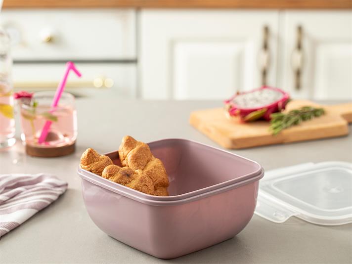 Stella Plastic Pătrat Recipient Depozitare 1500 ml mov