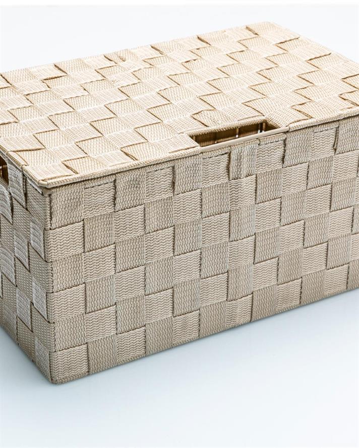 strălucire Polipropilenă Cu Capac Cutie De Depozitare 34 x 22 x 17,5 cm Bej