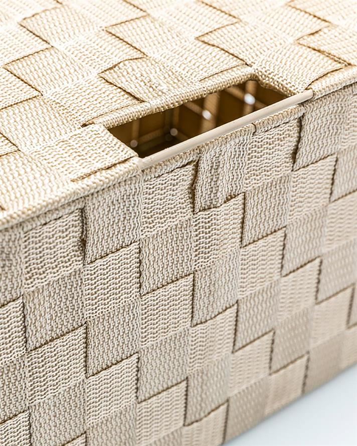 strălucire Polipropilenă Cu Capac Cutie De Depozitare 34 x 22 x 17,5 cm Bej