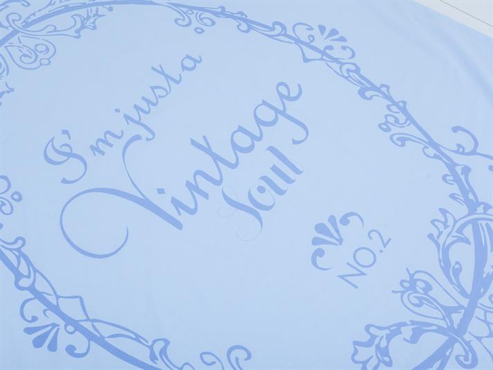 Suflet vintage Bumbac Single Set Lenjerie De Pat 160x220 cm Albastru