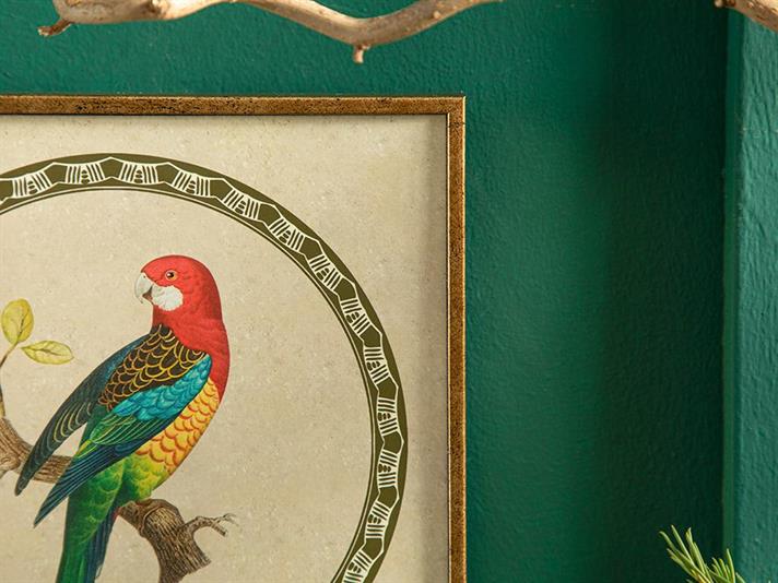 Tablou, Parrot, mdf, 20x20 cm, auriu vintage